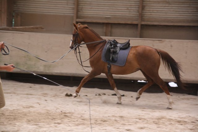 Juin 2010